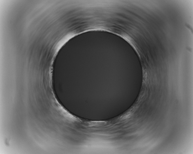 X0000102261151200808151834