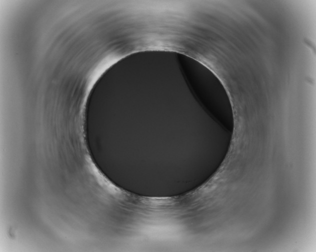 X0000102261152200808151834