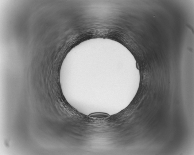 X0000102261153200808151834