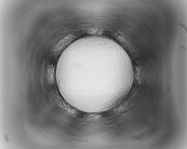 X0000102261154200808151834