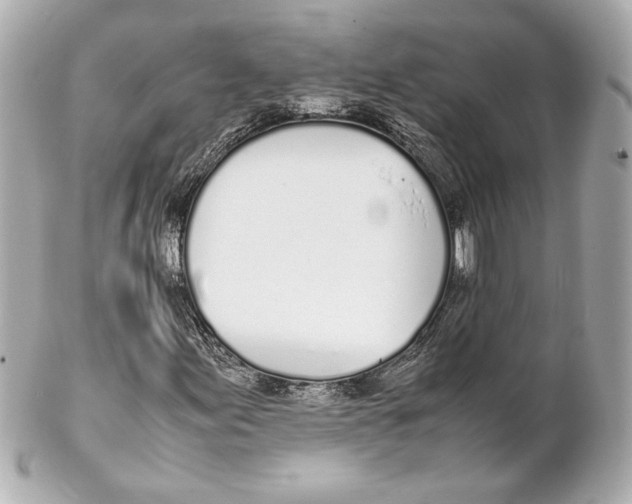 X0000102261155200808151834