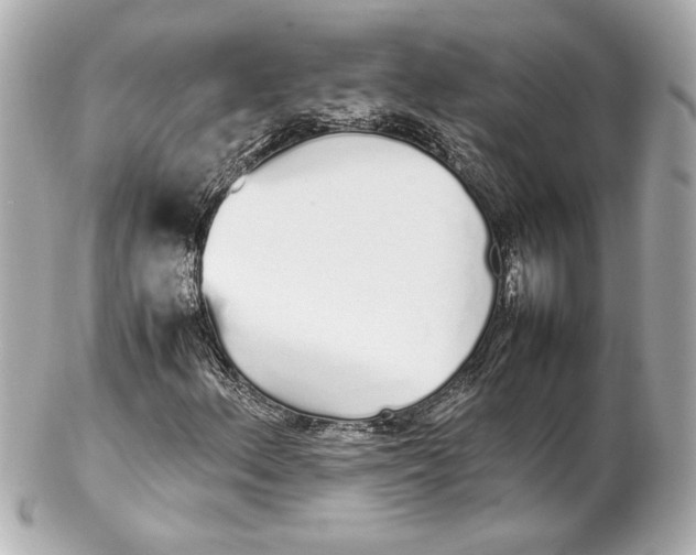 X0000102261156200808151834