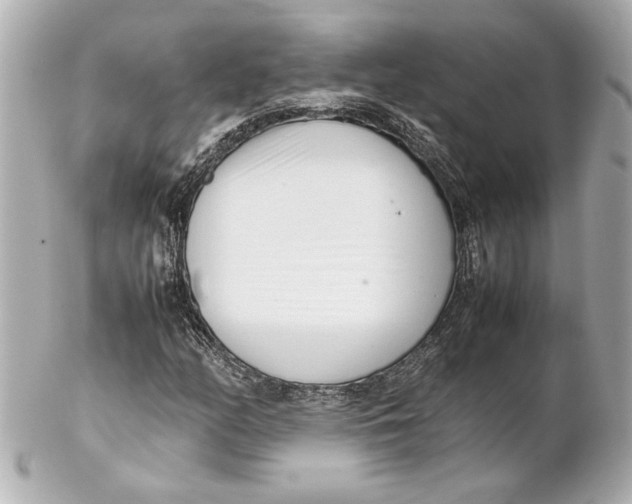 X0000102261158200808151834