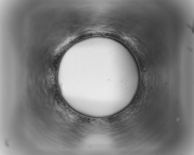 X0000102261159200808151834