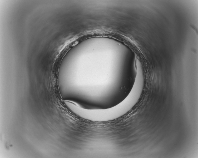 X0000102261160200808151834