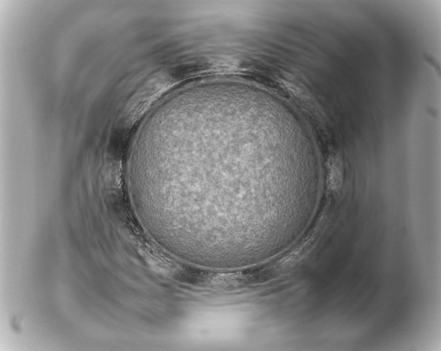 X0000102261161200808151834