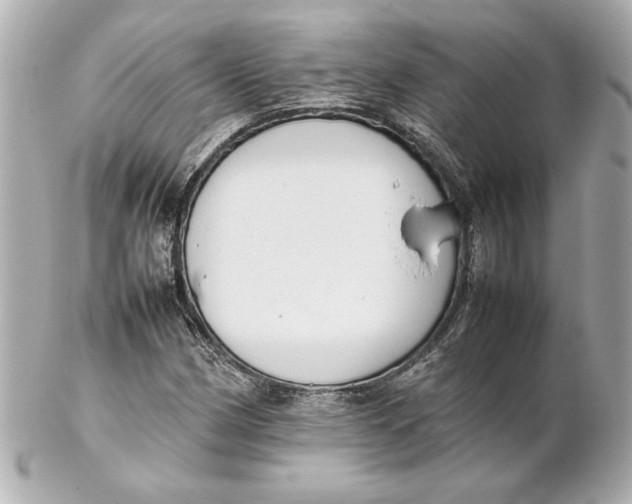 X0000102261162200808151834