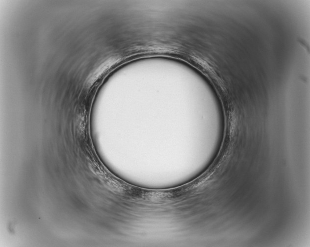 X0000102261163200808151834