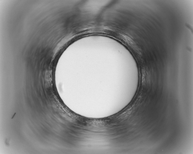 X0000102261164200808151834