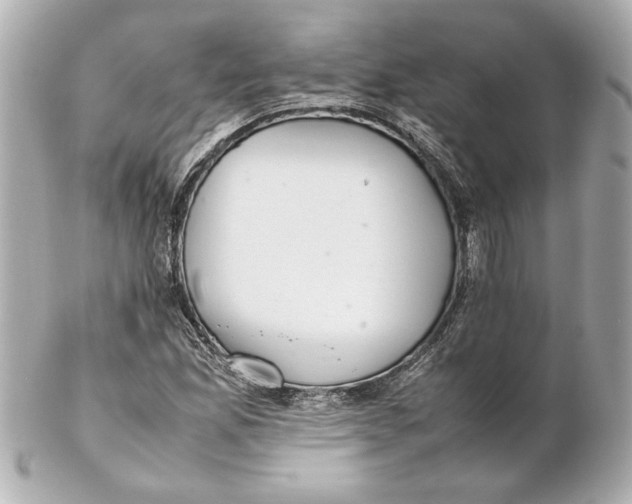 X0000102261165200808151834