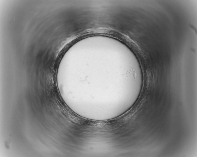 X0000102261166200808151834