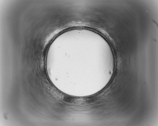 X0000102261167200808151834