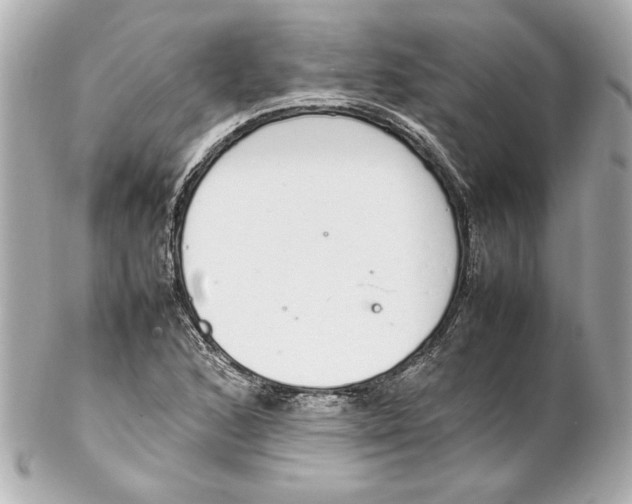 X0000102261168200808151833