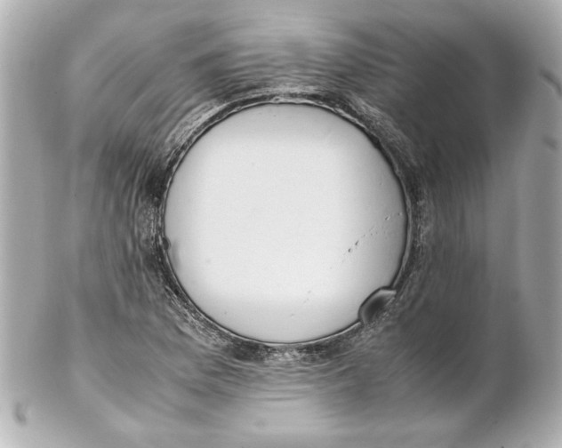 X0000102261169200808151833