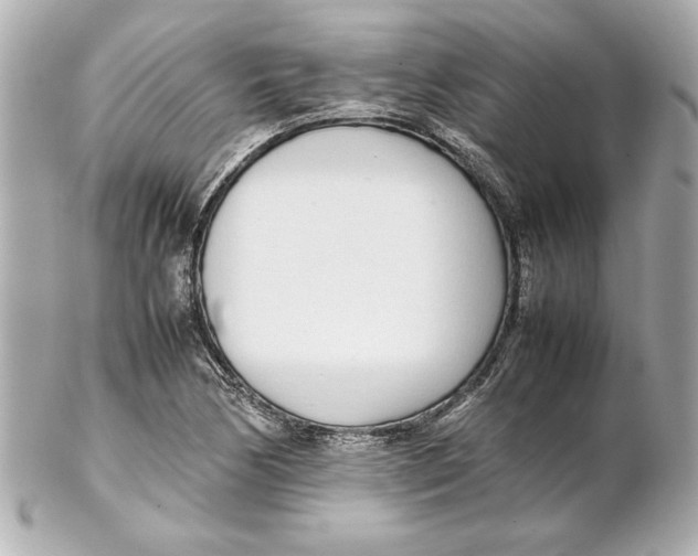 X0000102261170200808151833