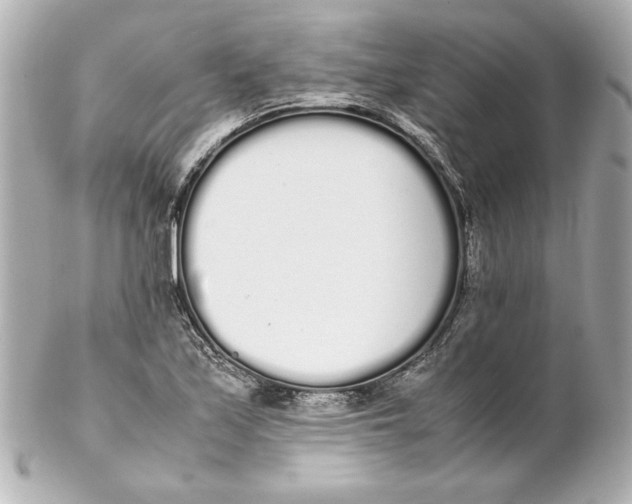 X0000102261171200808151833