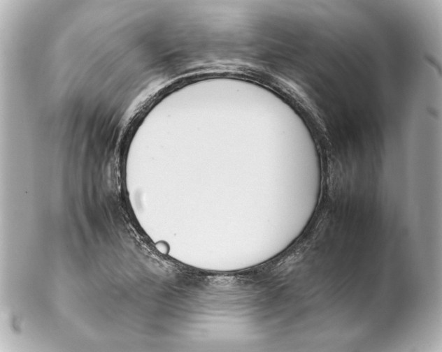 X0000102261172200808151833