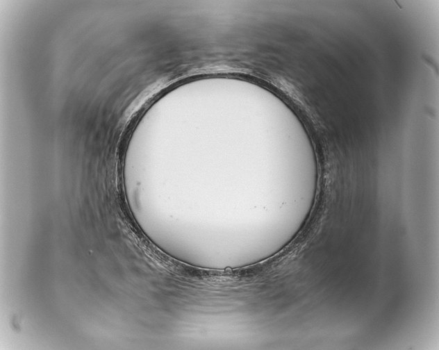 X0000102261173200808151833