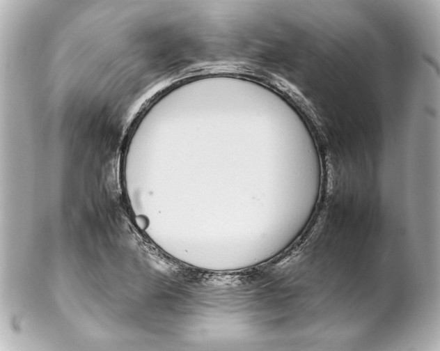 X0000102261174200808151833