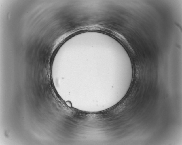 X0000102261176200808151833