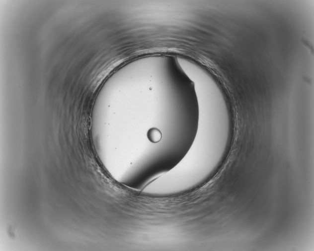 X0000102261177200808151833