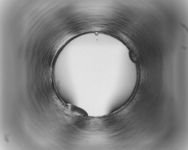 X0000102261178200808151833