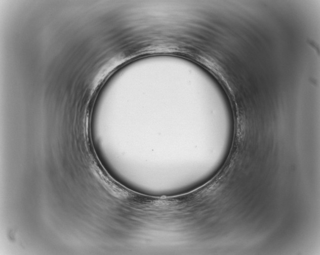 X0000102261179200808151833