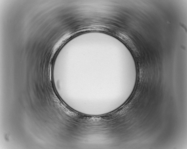 X0000102261180200808151833