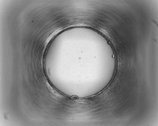 X0000102261181200808151833