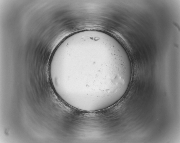 X0000102261182200808151833