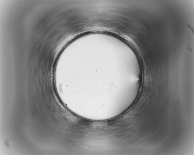 X0000102261183200808151833