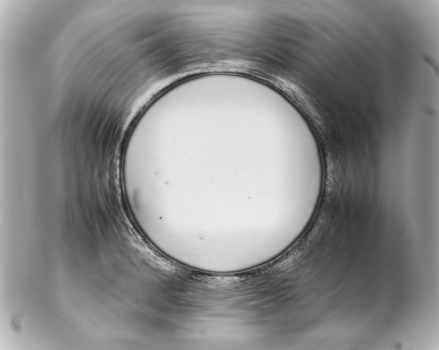 X0000102261184200808151833