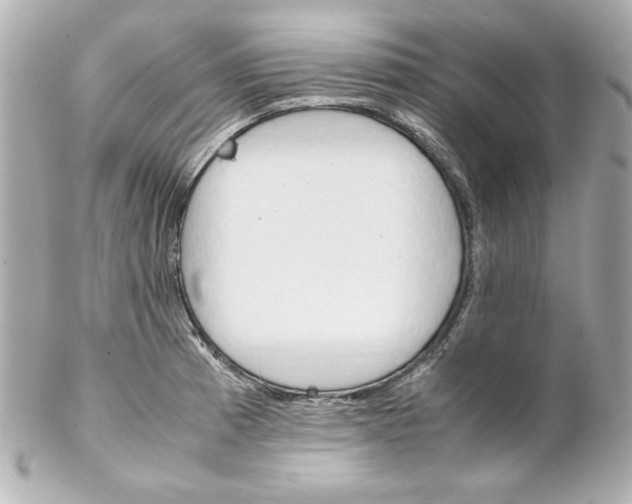 X0000102261185200808151833