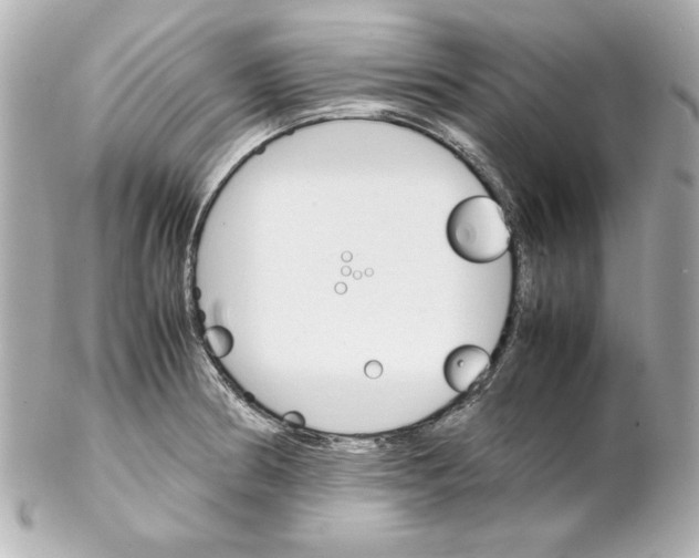 X0000102261186200808151833