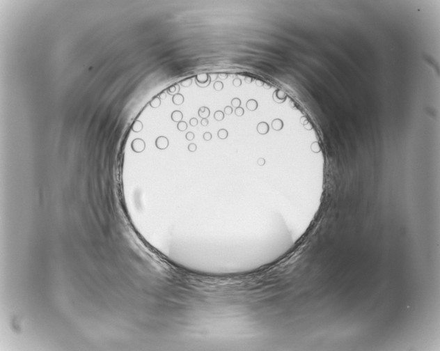 X0000102261187200808151833