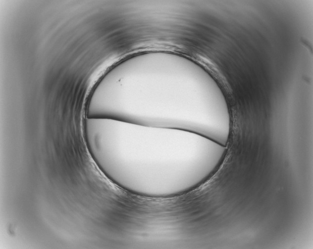 X0000102261188200808151833