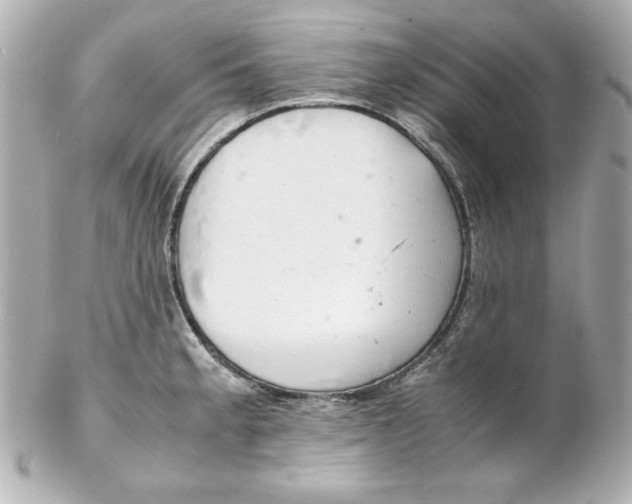 X0000102261189200808151833