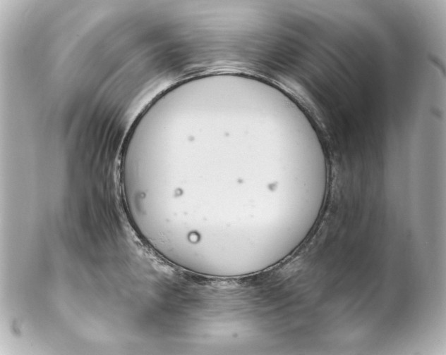 X0000102261190200808151833