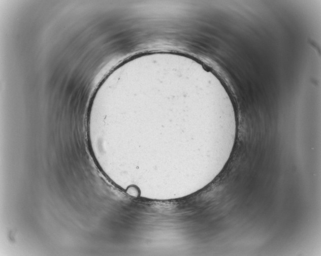 X0000102261191200808151833