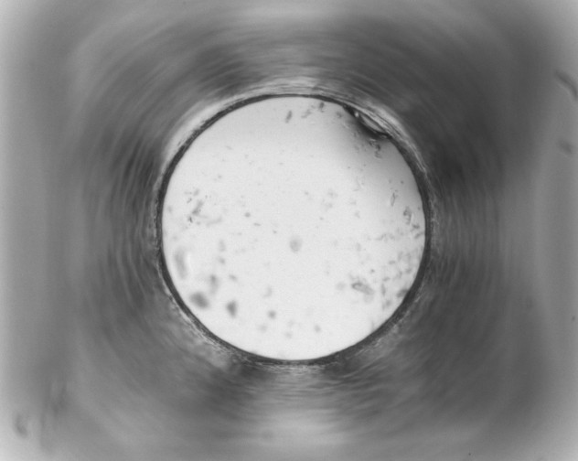 X0000102261192200808151833