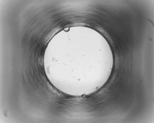 X0000102261193200808151833