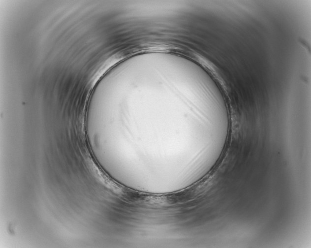 X0000102261194200808151833