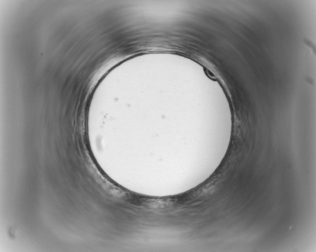 X0000102261195200808151833