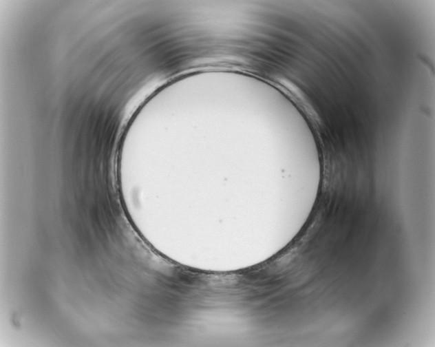 X0000102261196200808151833