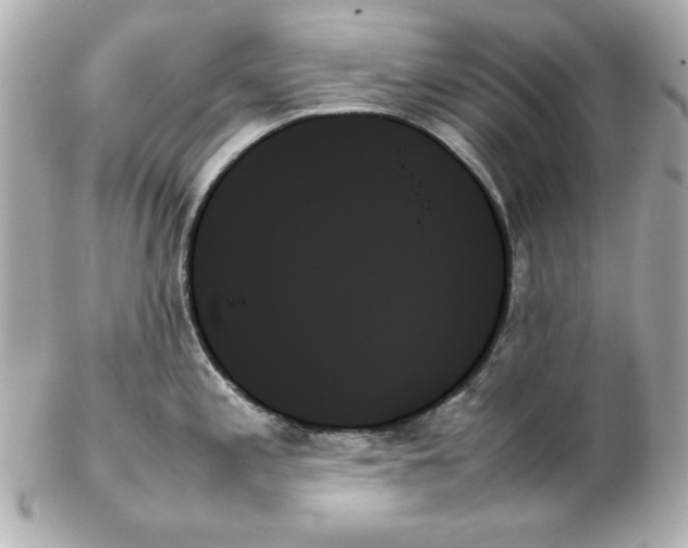 X0000102261197200808151833