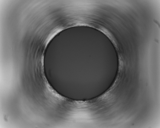 X0000102261198200808151833