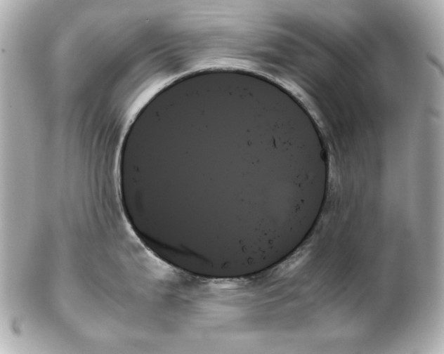 X0000102261199200808151833