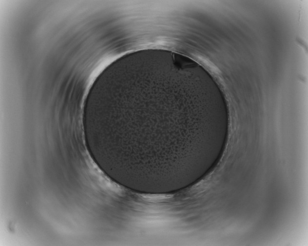 X0000102261200200808151833