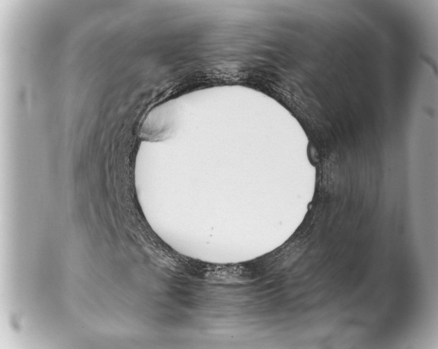 X0000102261201200808151832