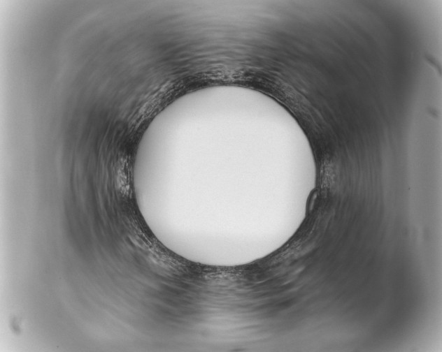 X0000102261202200808151832